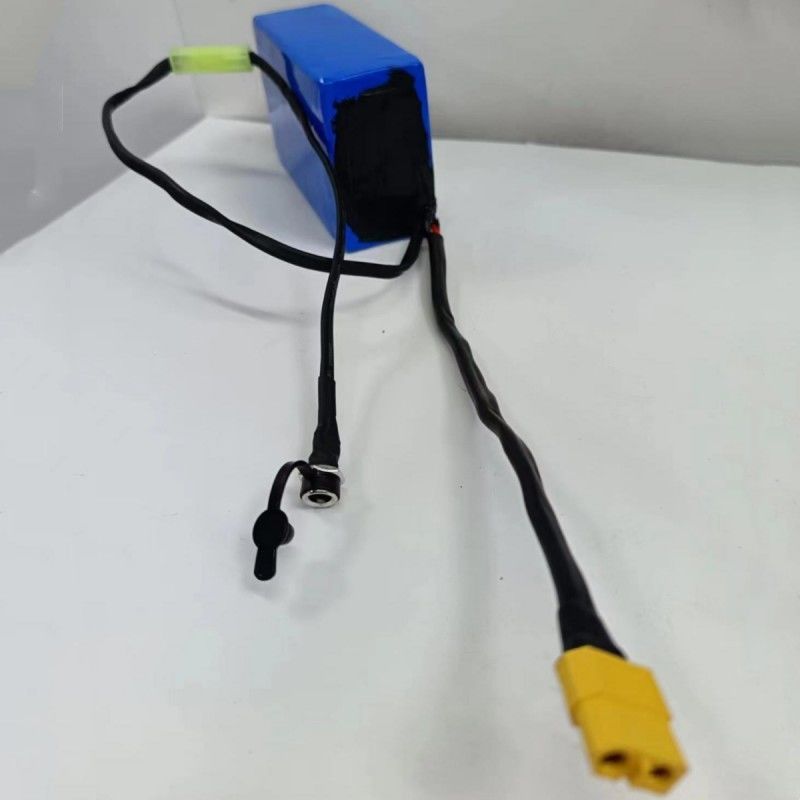 Özel 18650 Pil Paketi 36V 2600mAh 10 Hücre Şarj Etmek İçin Küçük Tamiya Transfer Plug ile